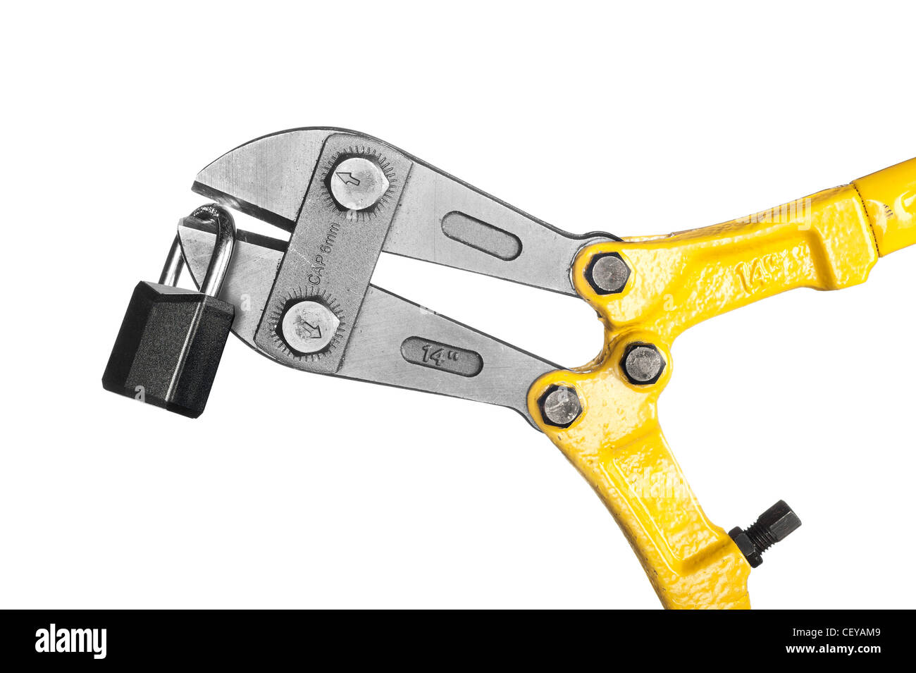 New, yellow bolt cutters with sharp pincers cutting a lock, isolated on white. Stock Photo