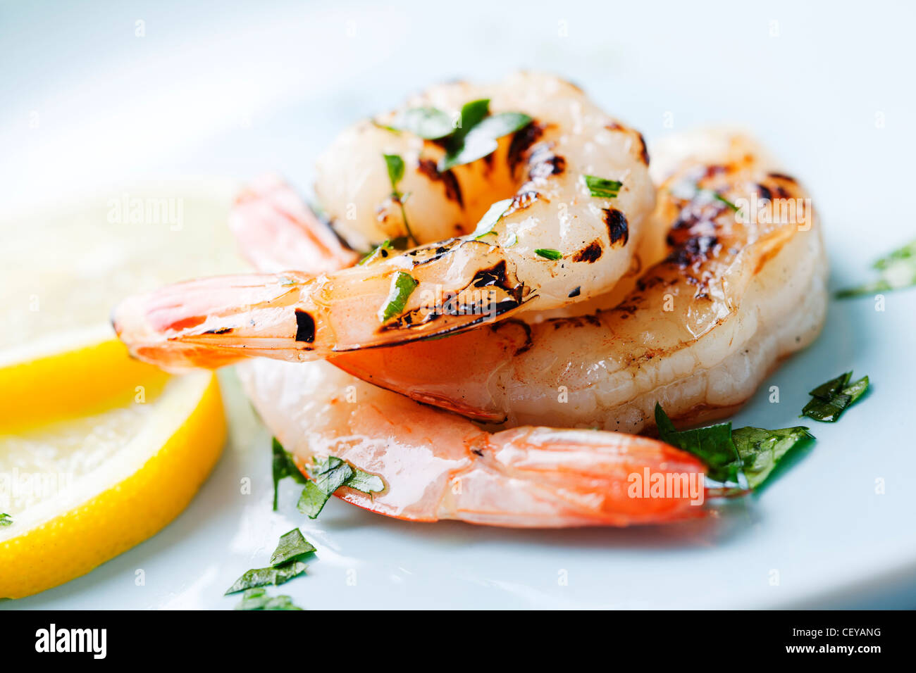 fresh grilled shrimps Stock Photo