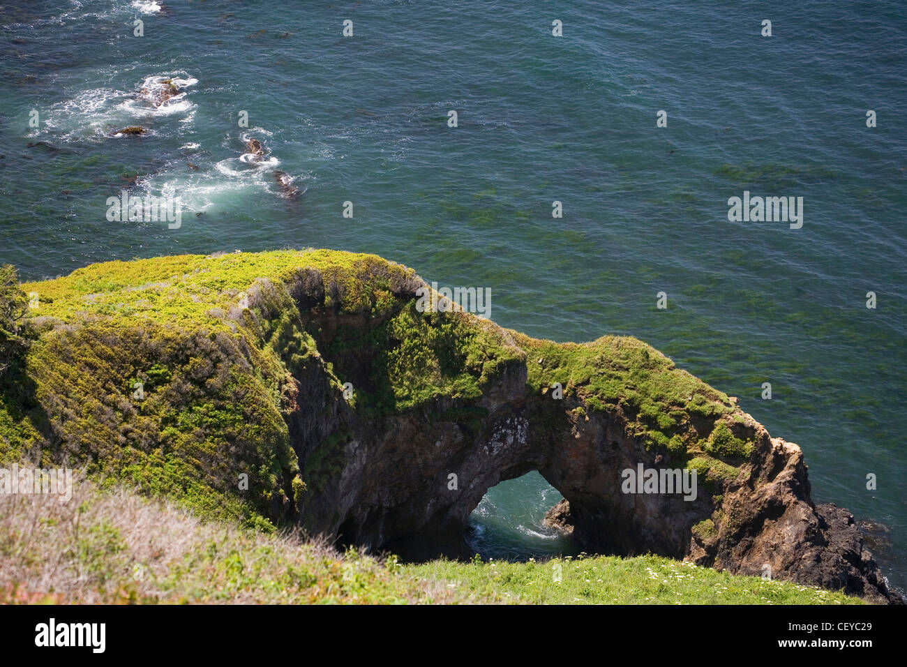 moss covered rock formation with an arch along the coast; otter rock