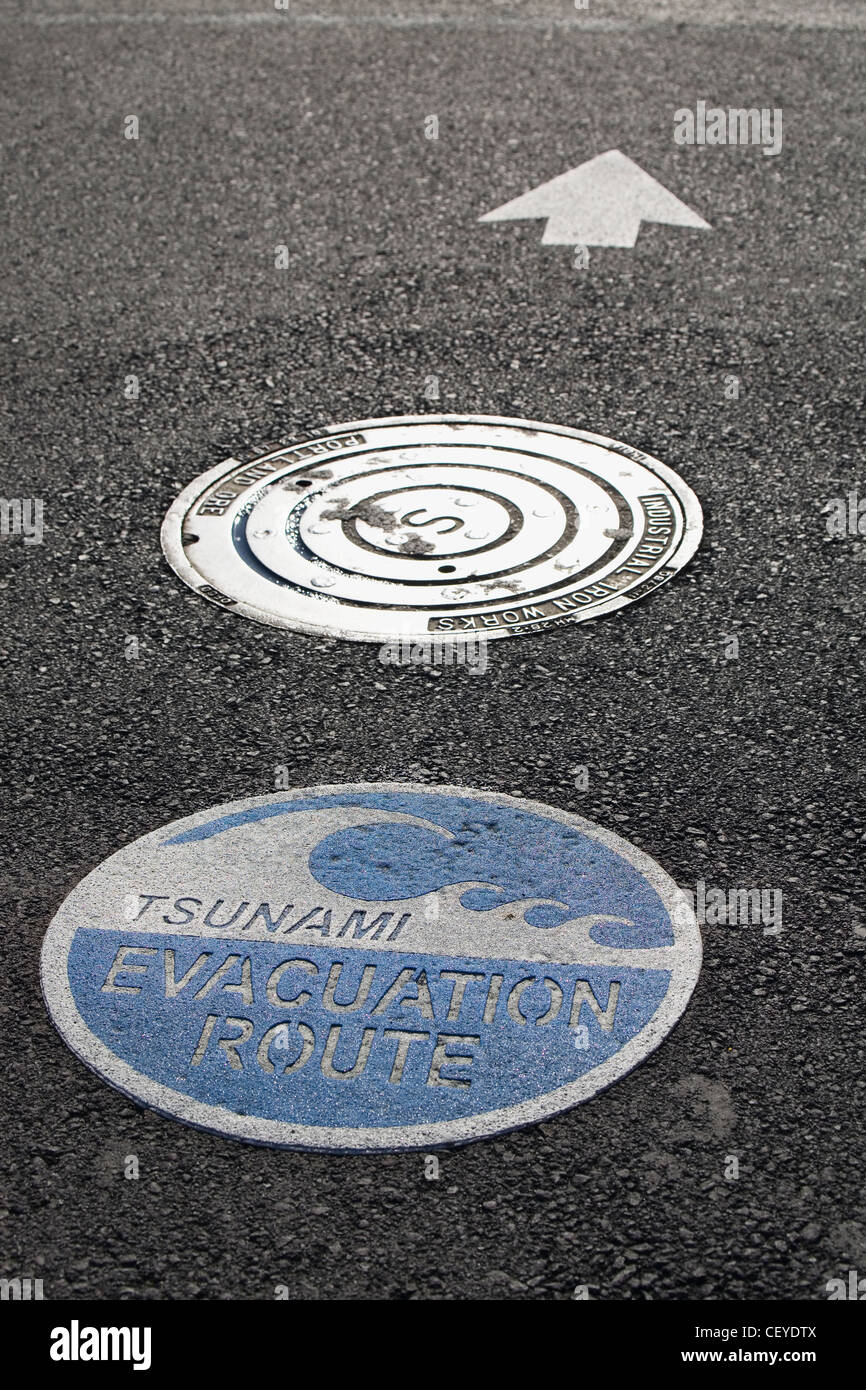 Tsunami alerts in us