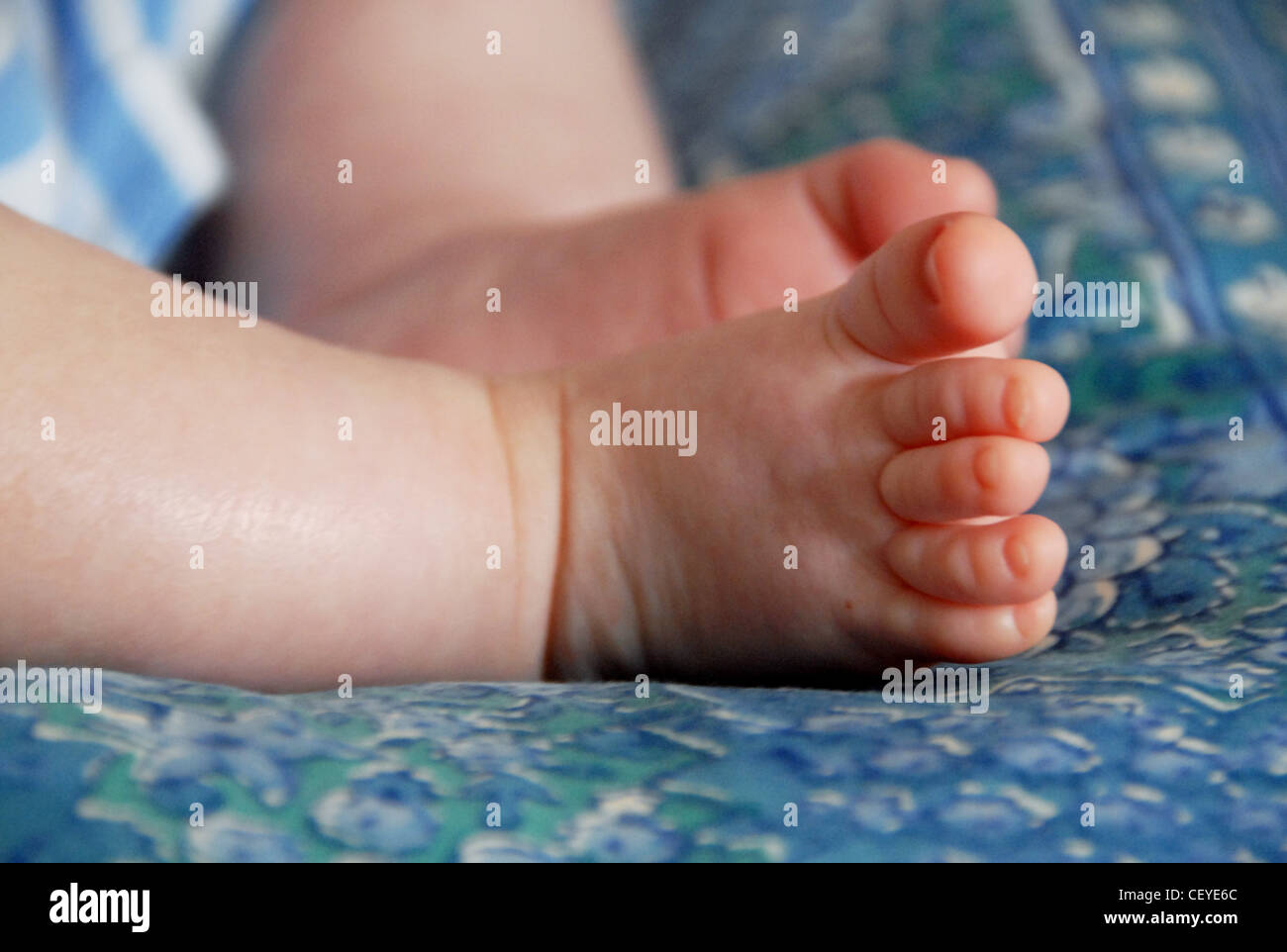 A detail image of infant's feet resting on a blue pillow Stock Photo