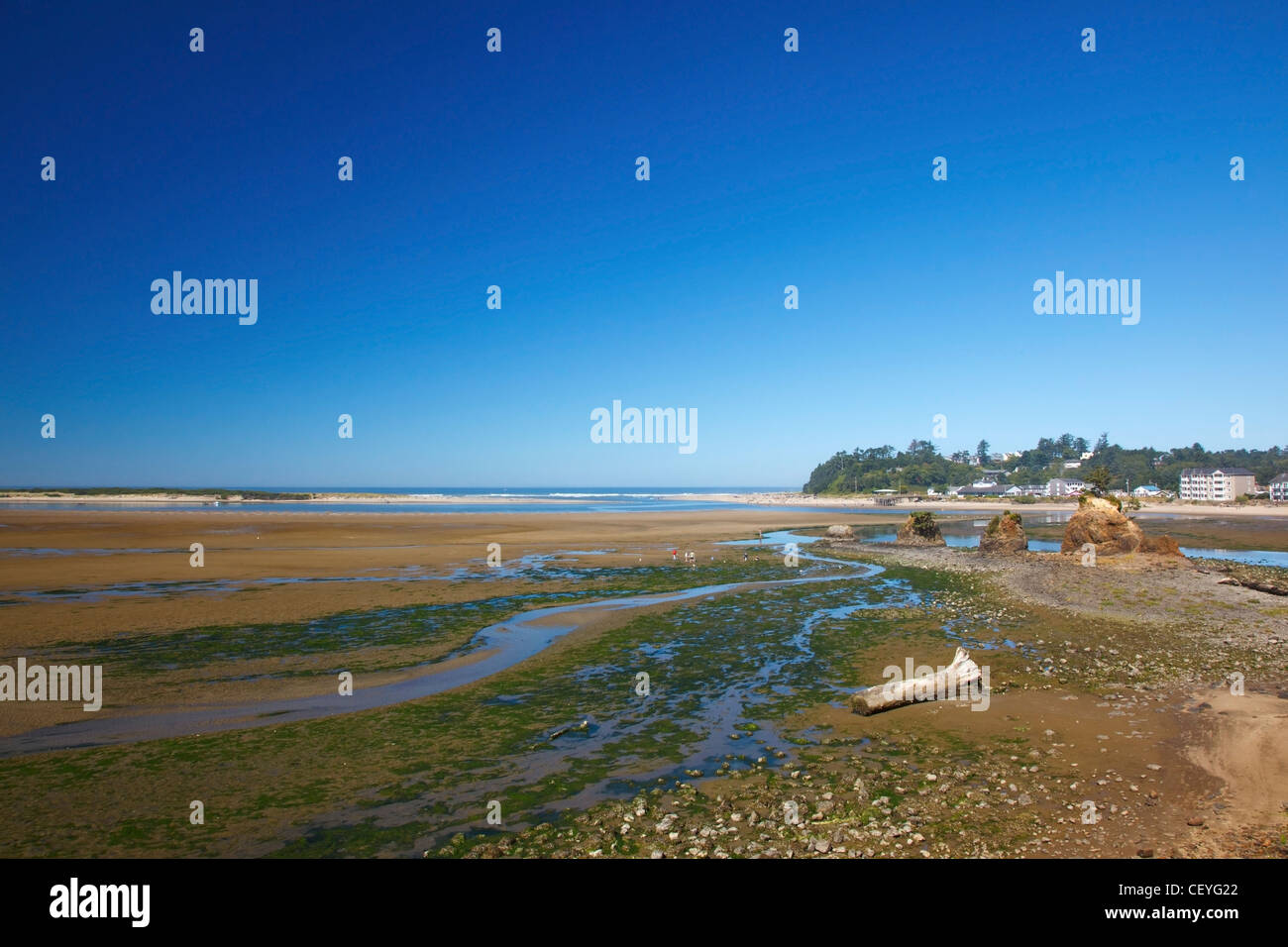 low tide at siletz bay; siletz oregon united states of america Stock Photo