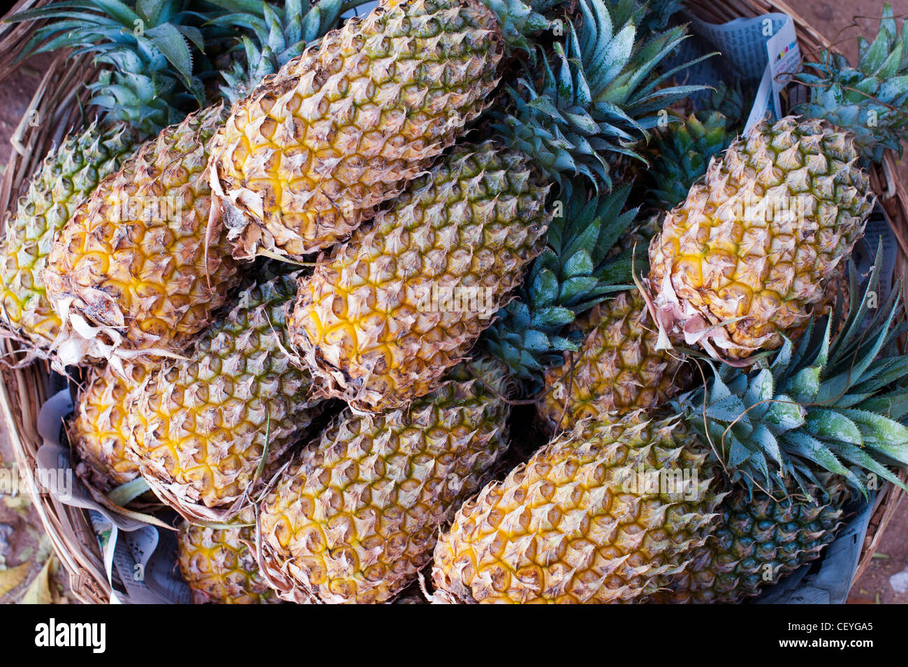 Ananas comosus. Fresh Pineapples in a basket at an Indian market. Andhra Pradesh, India Stock Photo
