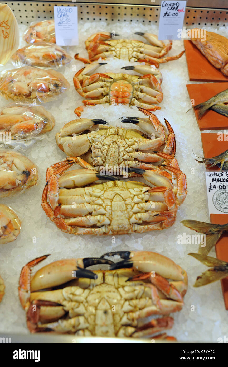 Brown crab hi-res stock photography and images - Alamy