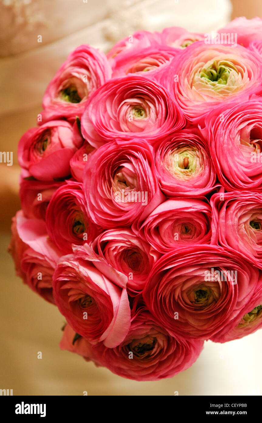 Ranunculus flower bouquetStonehouse Photographic Stock Photo - Alamy