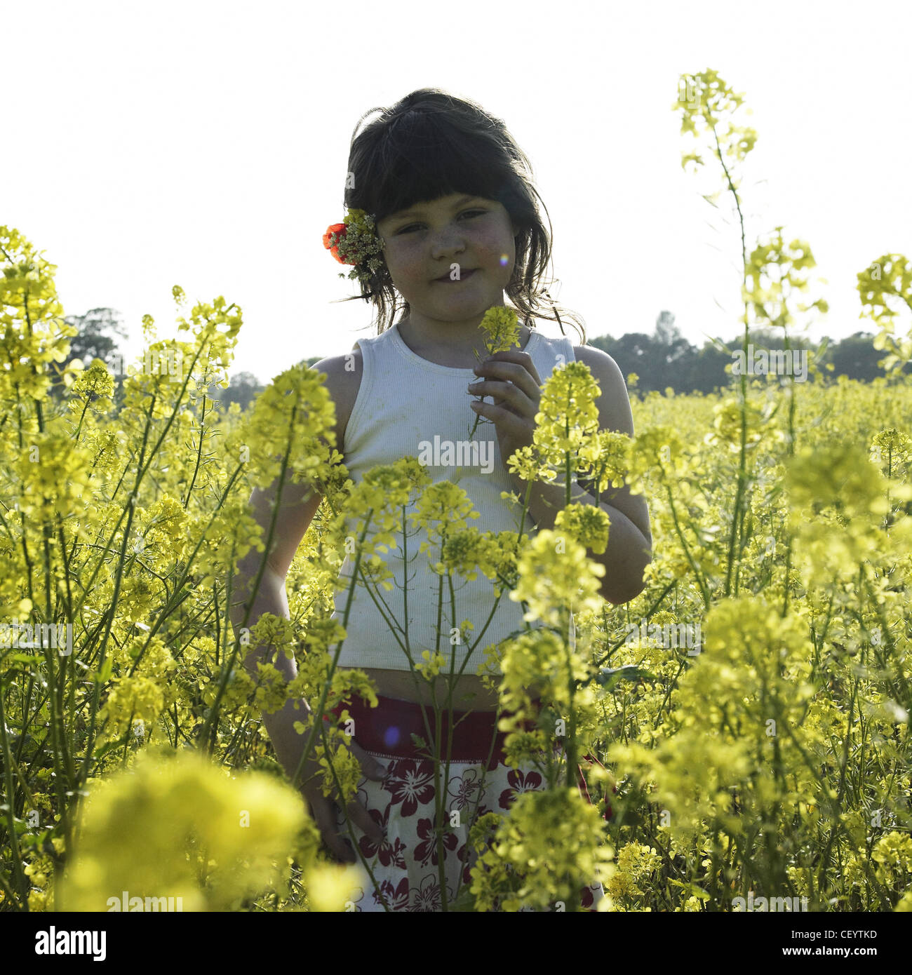 Female child standing in field of yellow flowers with red flower tucked ...