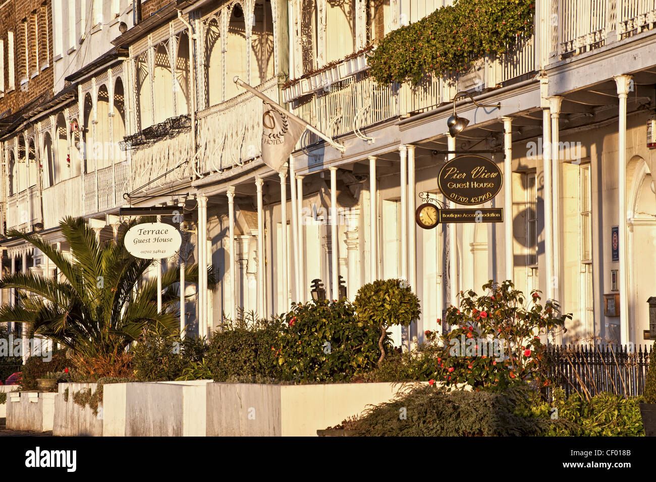 terrace houses in Royal Terrace in the Cliftown Conservation