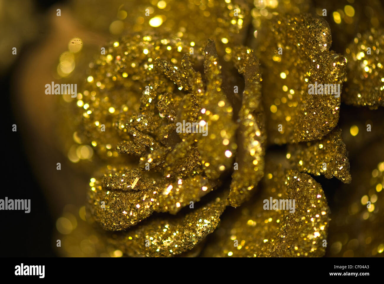 Gold rose hires stock photography and images Alamy