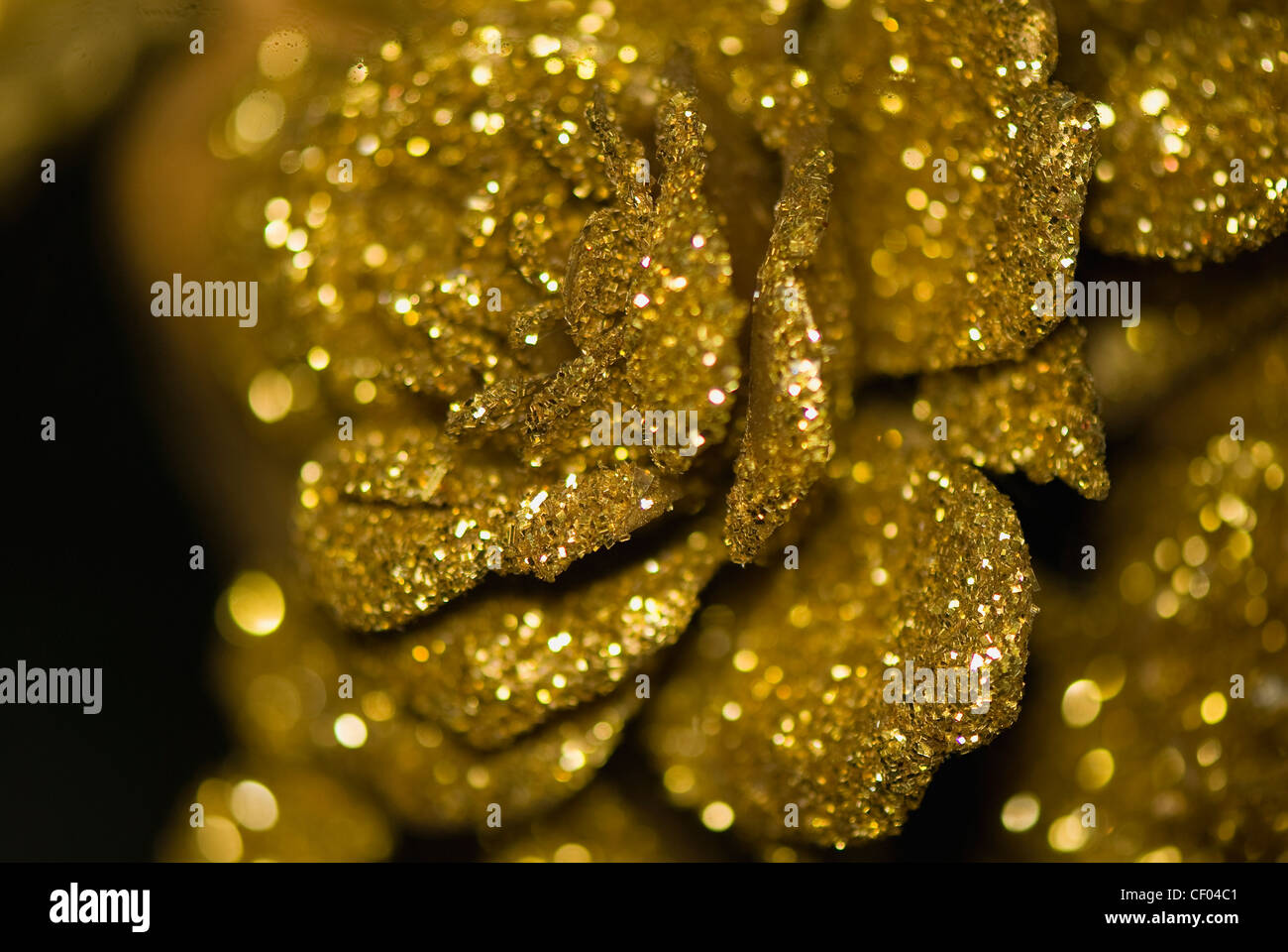 Gold rose hires stock photography and images Alamy