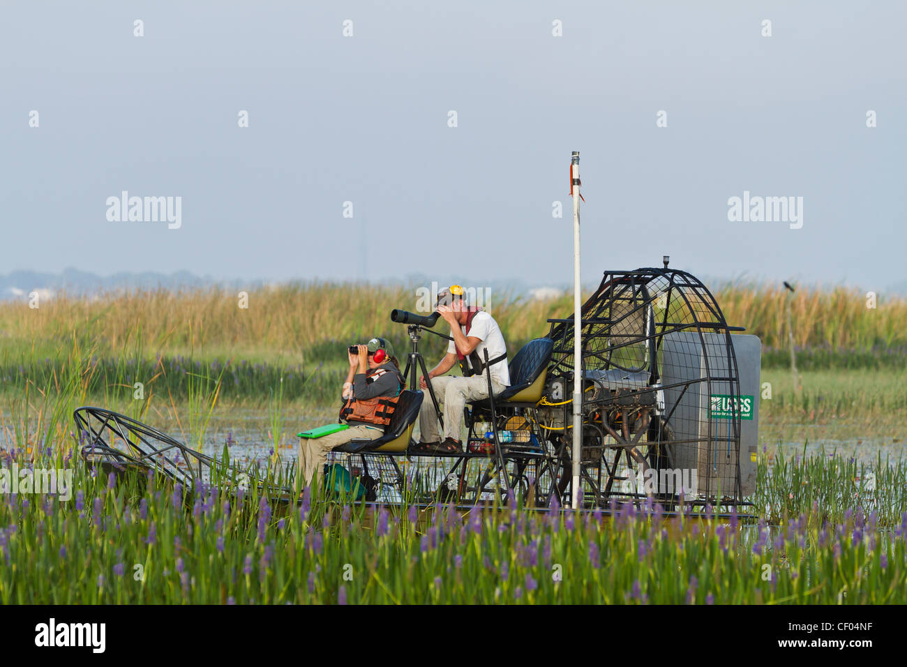 Birdwatchers on airboat, Florida, USA Stock Photo