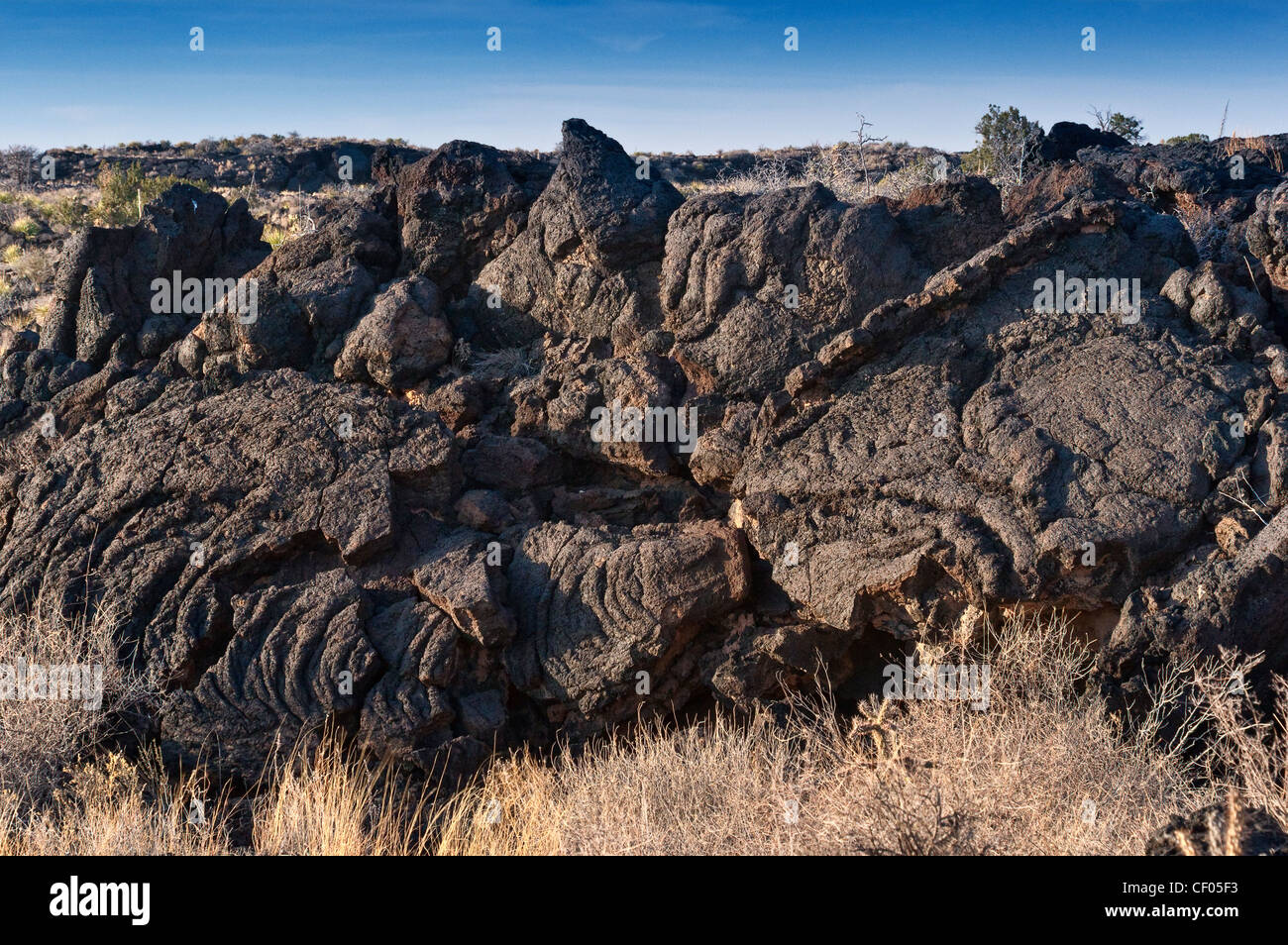 Carrizozo Malpais lava flow at Valley of Fires Recreation Area in