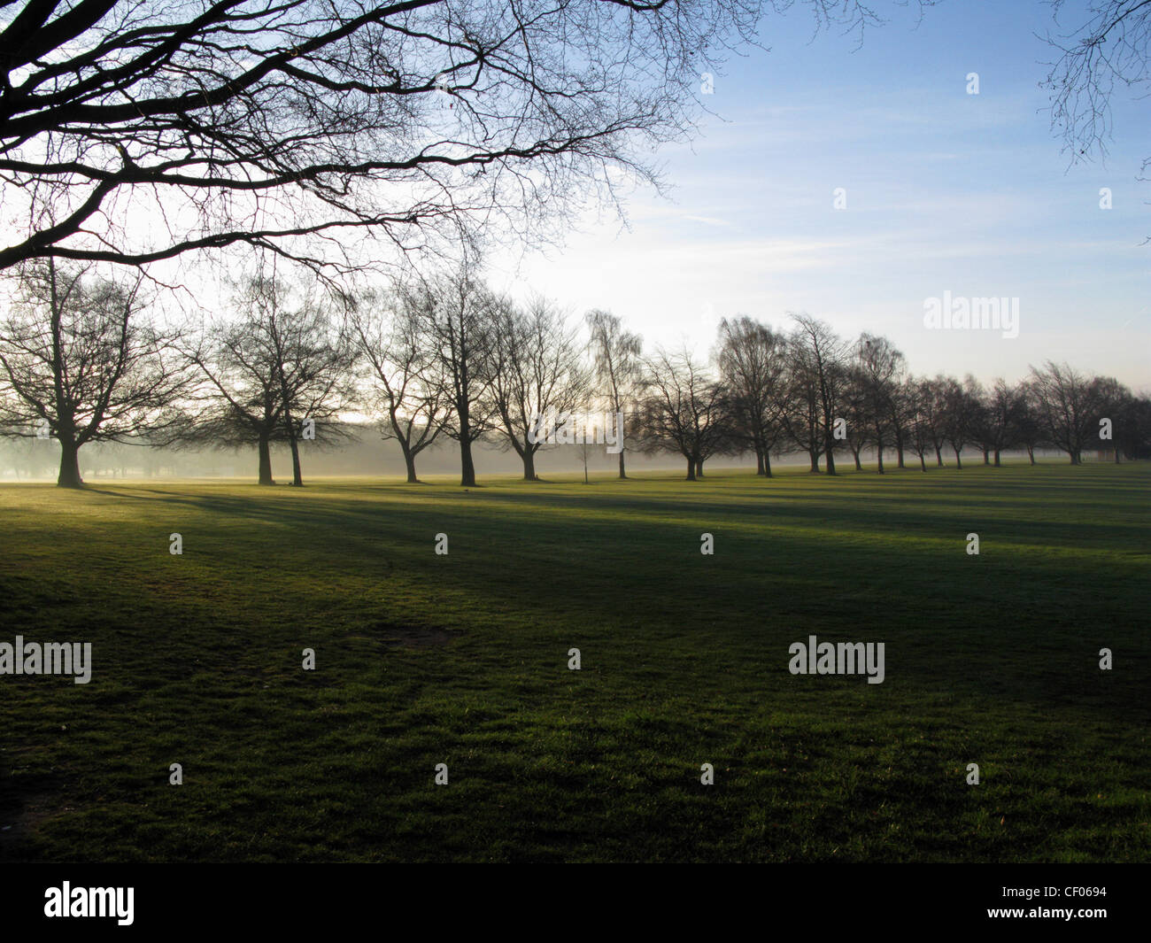 Misty morning, trees side lit with deep long shadows and a blue sky in winter. The memorial park, Coventry, UK Stock Photo