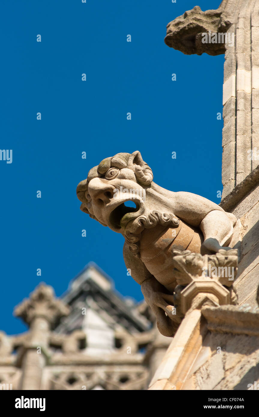 Gargoyle on Ely Cathedral, City of Ely, Cambridgeshire, England. Stock Photo