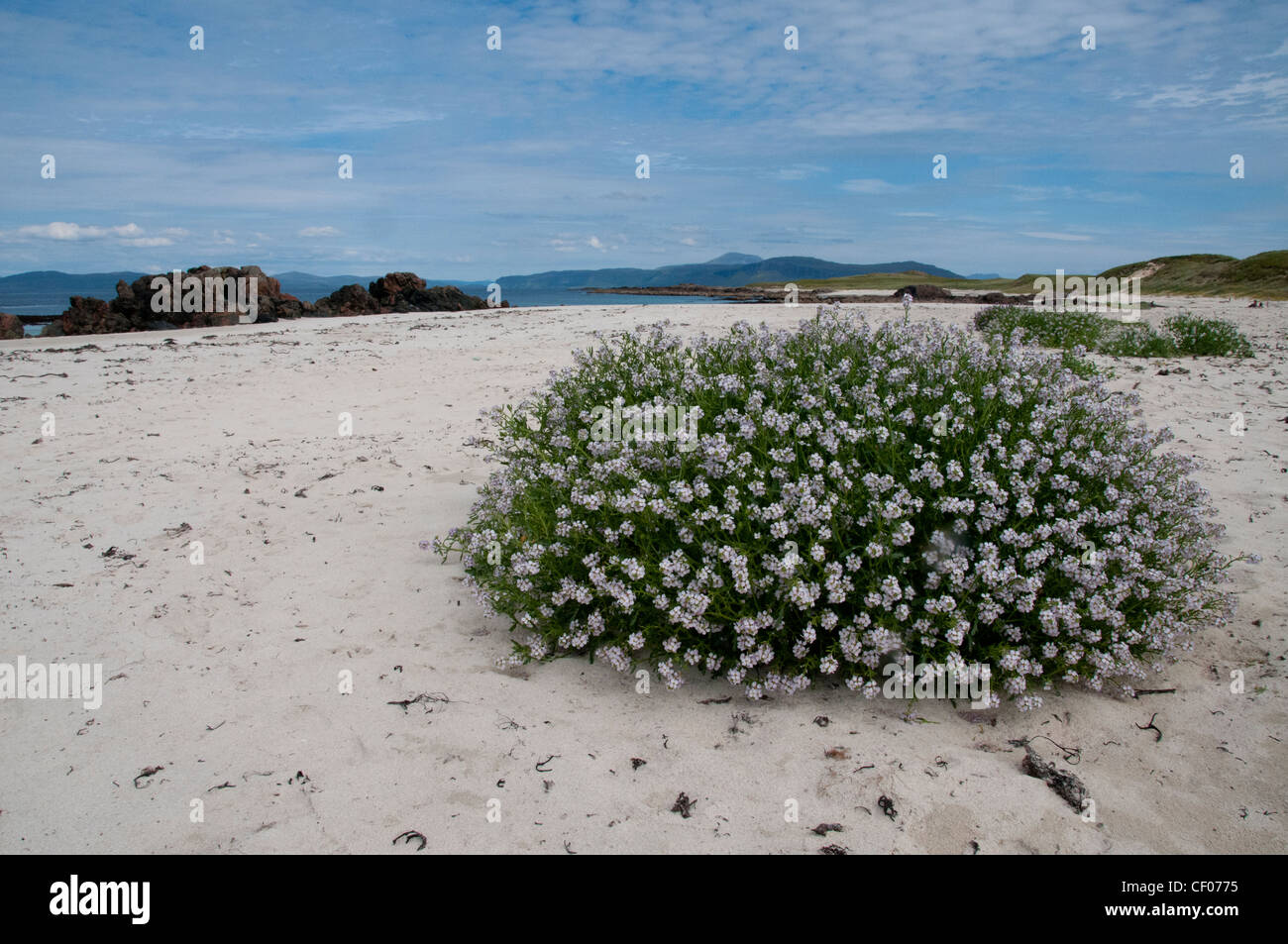 a landscape of north shore beach iona off the west coast of scotland Stock Photo
