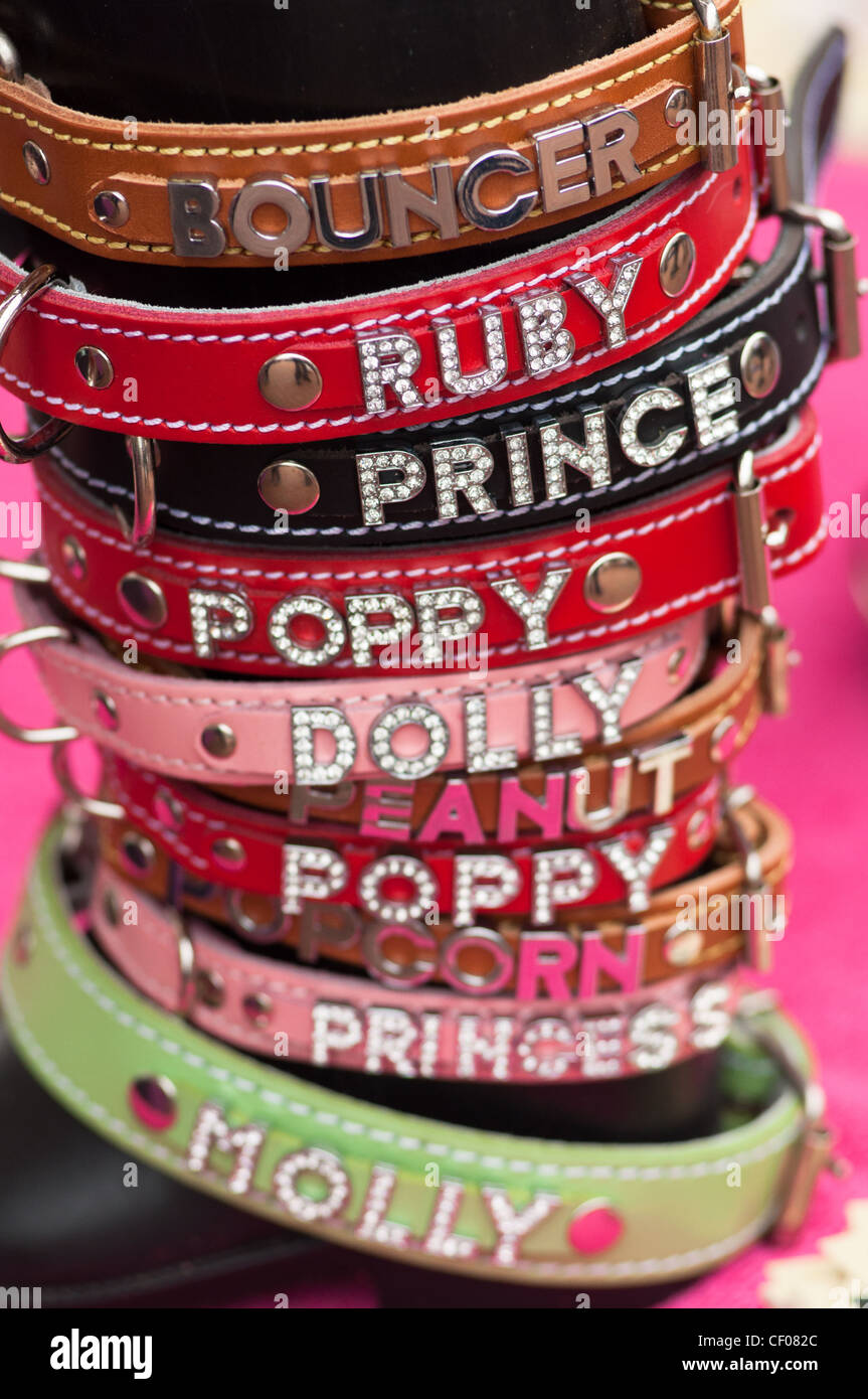 dog collars for sale