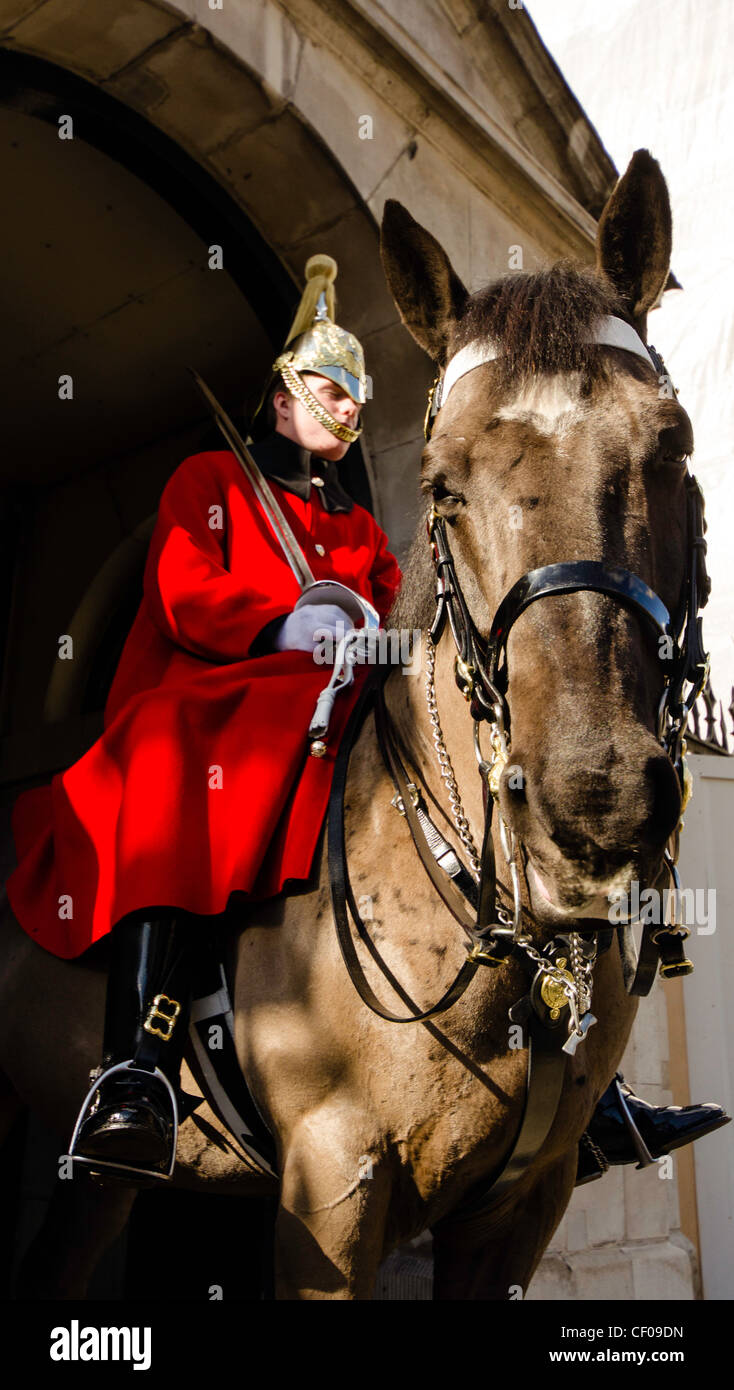 Royal guard and horse London England Great Britain UK Stock Photo - Alamy
