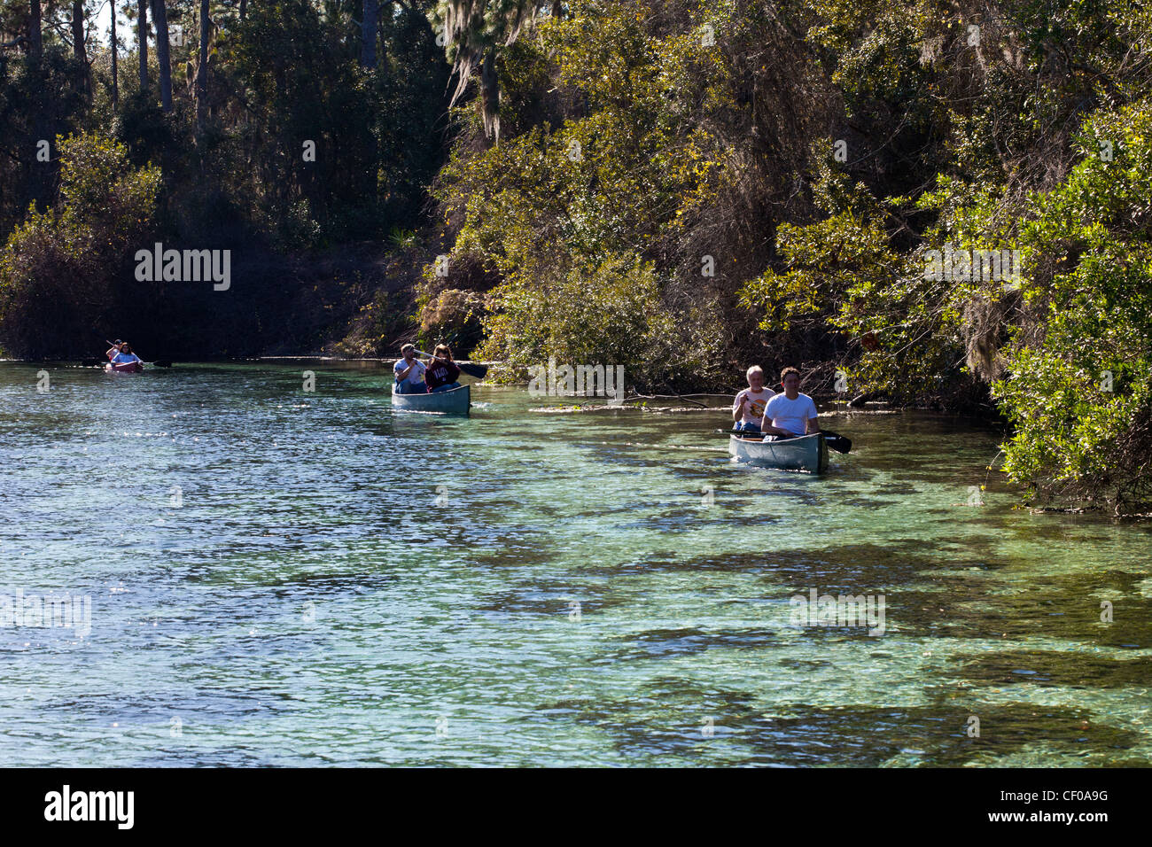 along the weeki wachee river florida usa,river scene,weeki wachee springs,weeki wachee state park,weeki wachee river Stock Photo