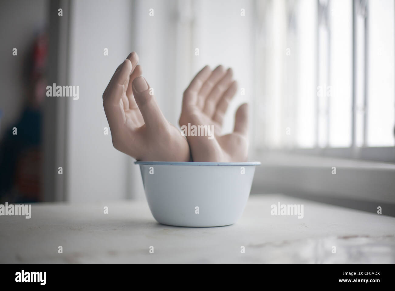 severed hands in and around a pudding bowl Stock Photo Alamy