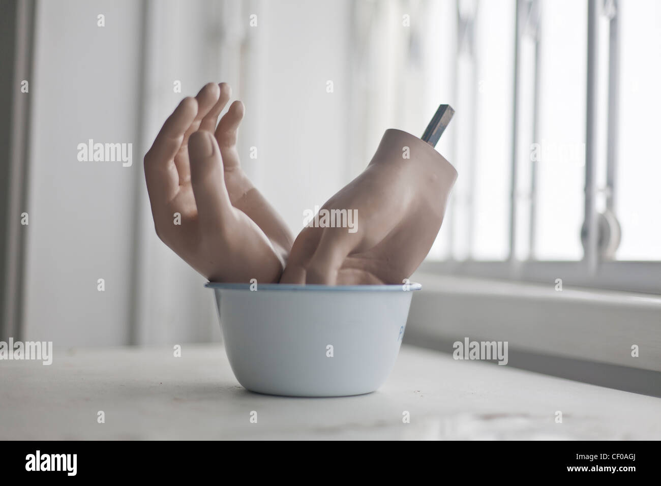 severed hands in and around a pudding bowl mannequin Stock Photo Alamy