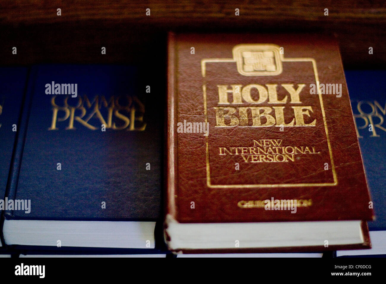The holy bible new international version stock photo alamy