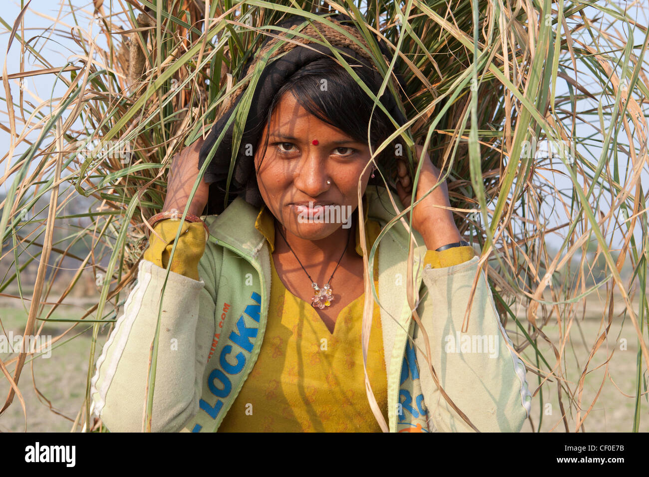 Portrait of woman grass cutting season Bardia National Park Nepal Asia Stock Photo