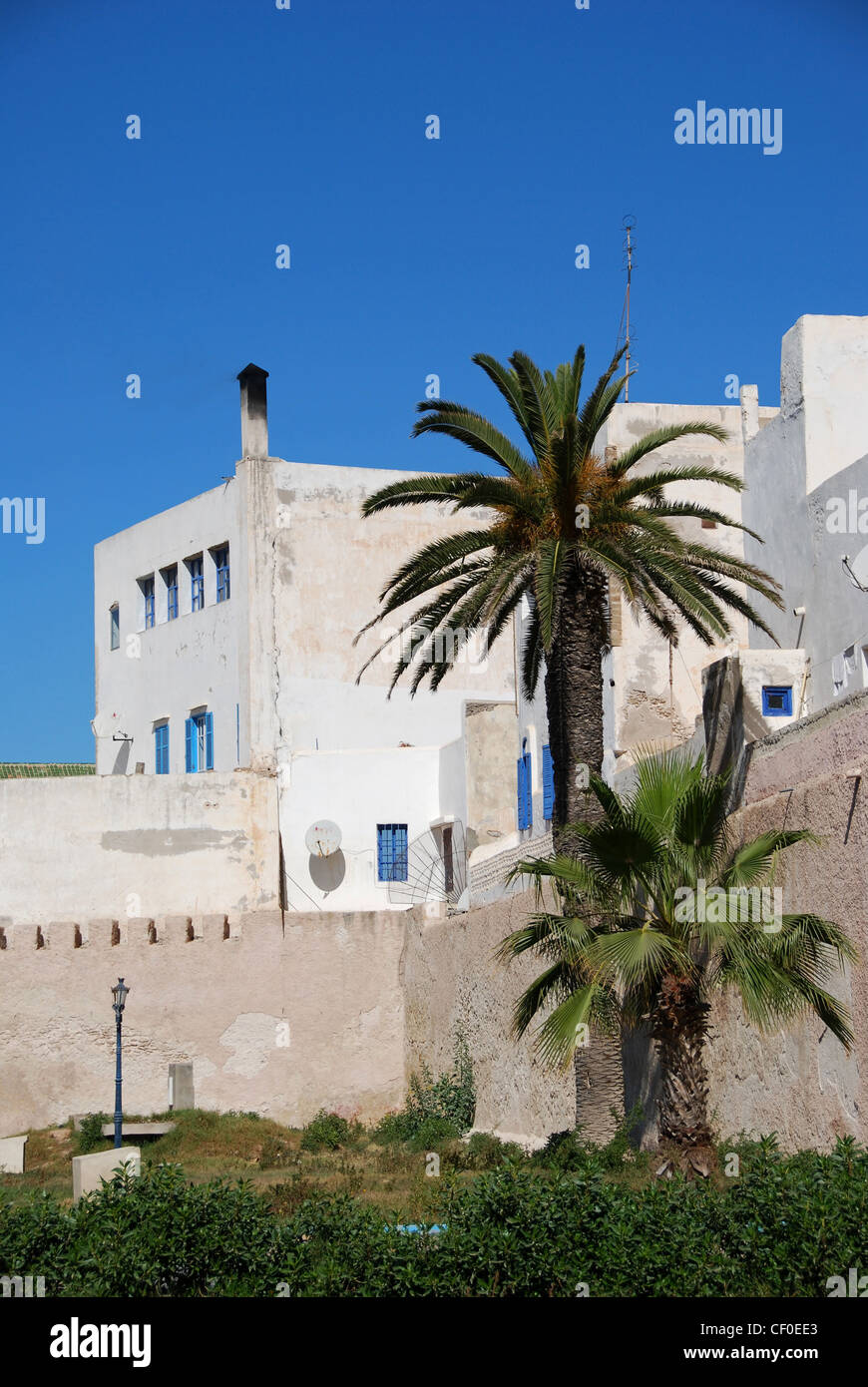 Citywall, houses, palmtrees, Essaouira, Morocco Stock Photo