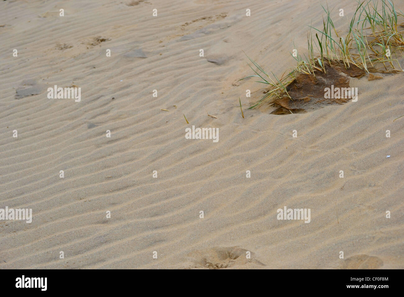 Abstract Patterns in the sand and beach grass on the Dunes of Camber Sands in East Sussex Stock Photo