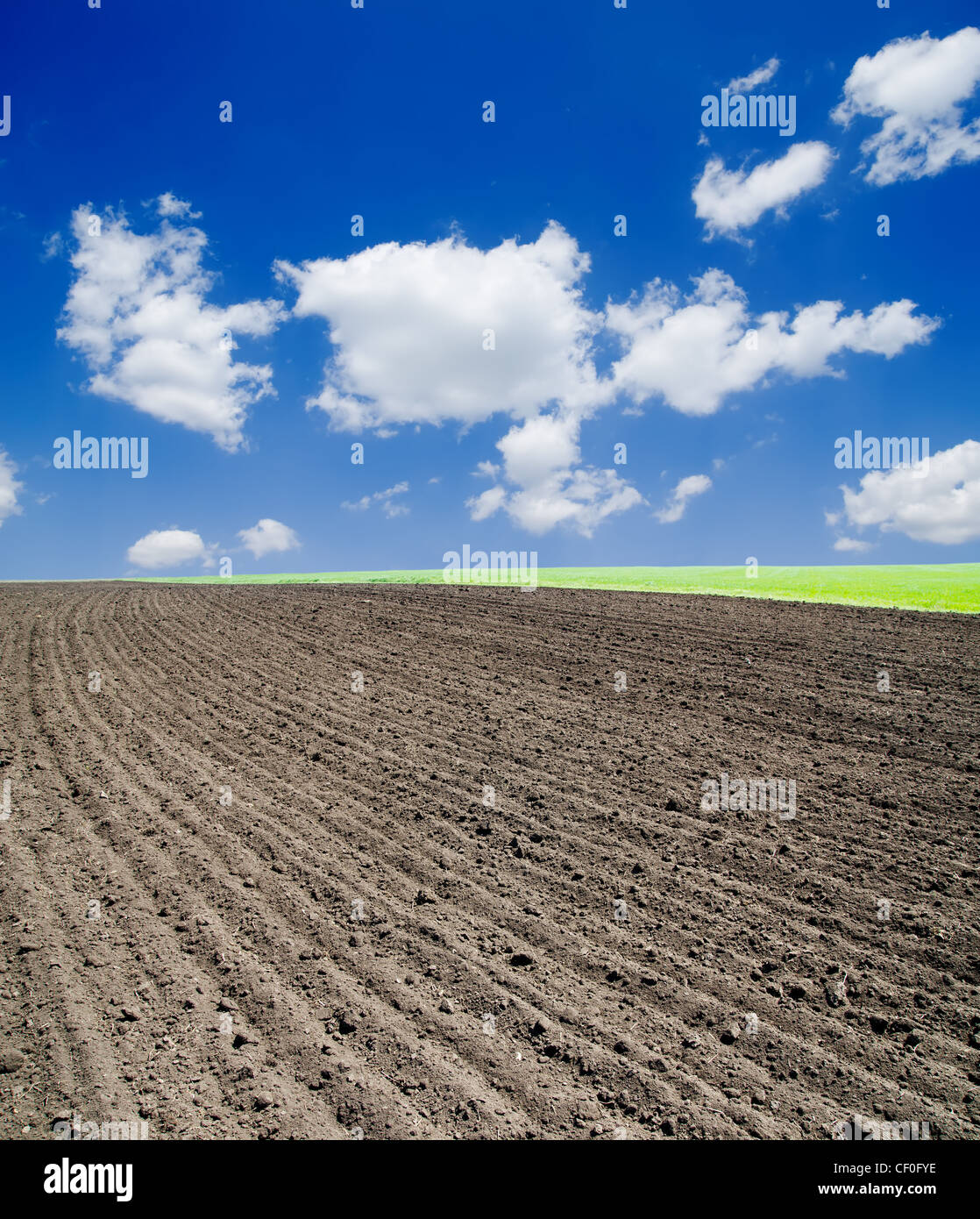 agricultural black field under deep blue sky with clouds Stock Photo ...