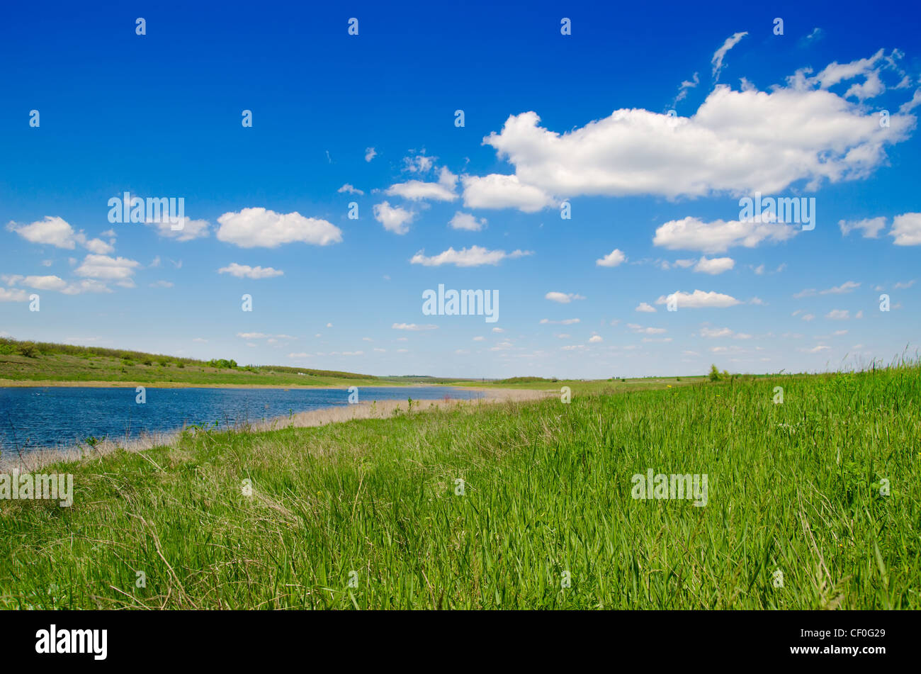 river in green grass under cloudy sky Stock Photo - Alamy