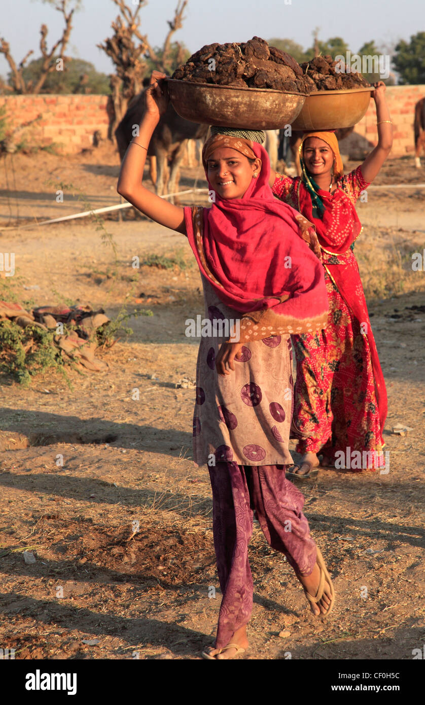Women with cow india hi-res stock photography and images - Alamy
