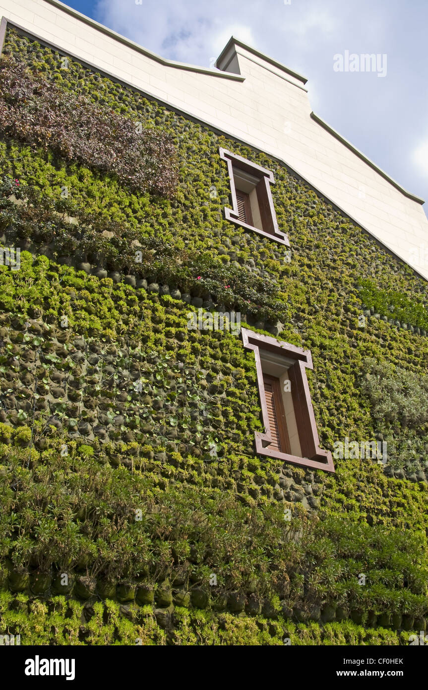 Miami Beach Florida,Collins Avenue,parking garage,Seventh 7th Street Parking  Garage,multi use building,shops,vertical vegetated wall,urban landscape,p  Stock Photo - Alamy