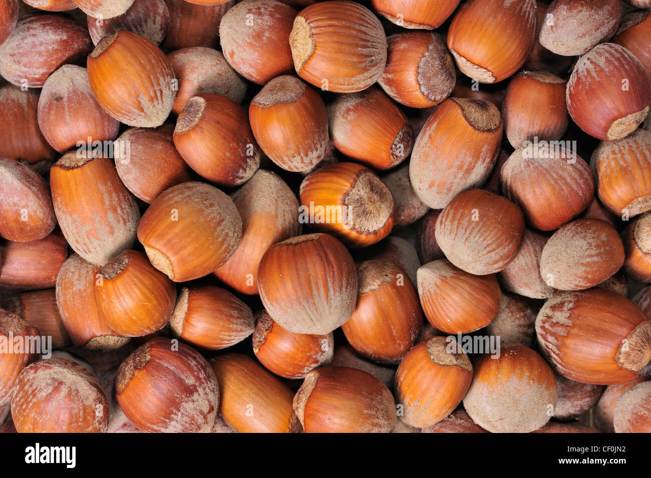 Birdfeed hires stock photography and images Alamy