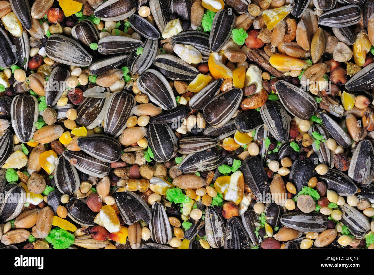 Mixture with grains, corn and sunflower seeds as bird feed for birds at birdfeeder in winter Stock Photo