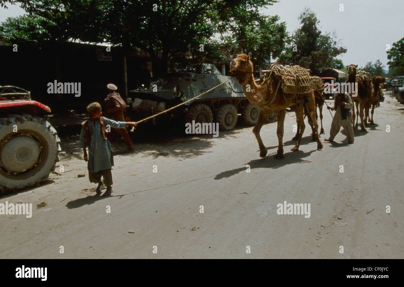 Camel caravan in the Khyber Pass Stock Photo