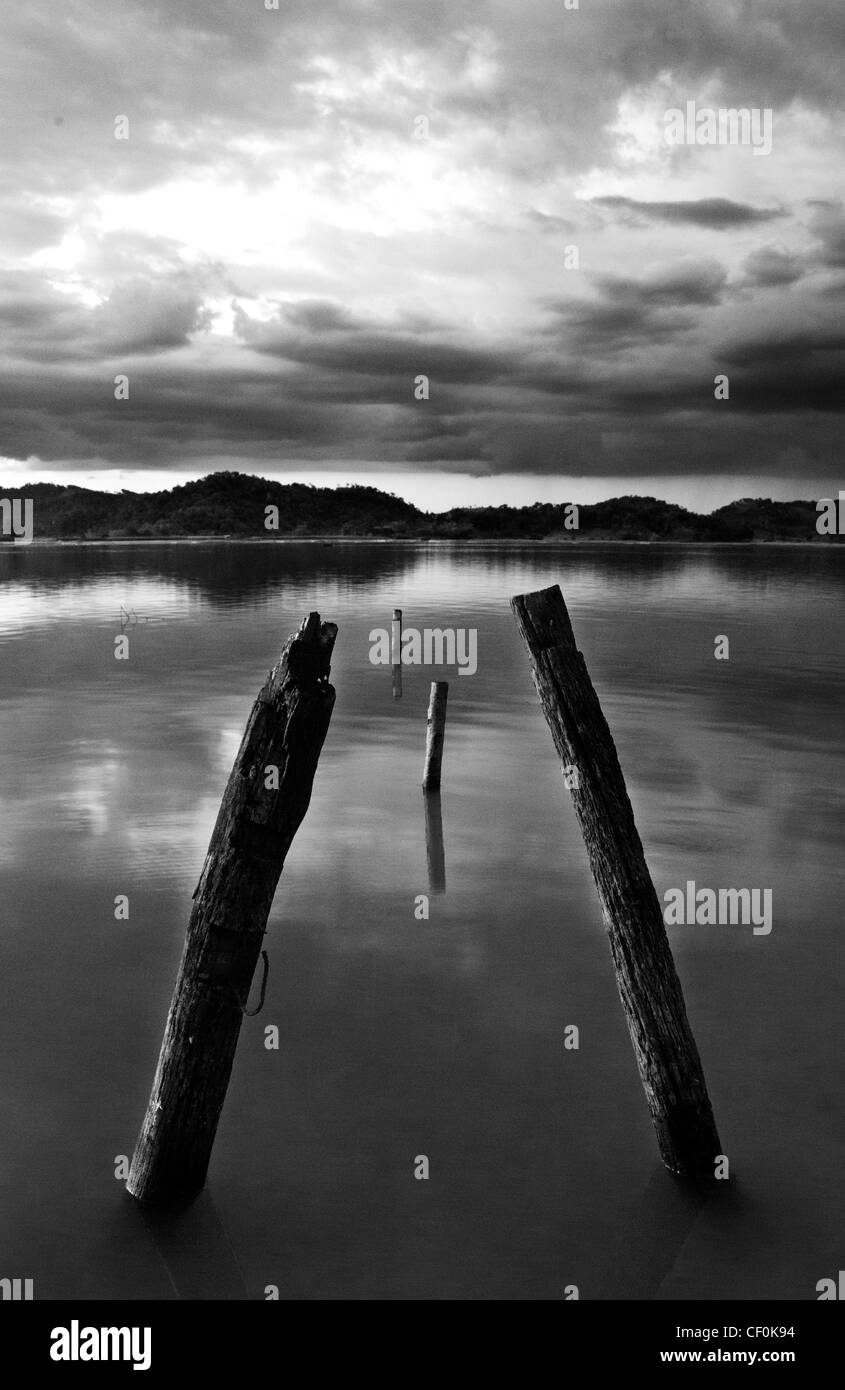 Logs silhouetted in Lak lake during sunset in Vietnam (colour version available at CF0K9C) Stock Photo