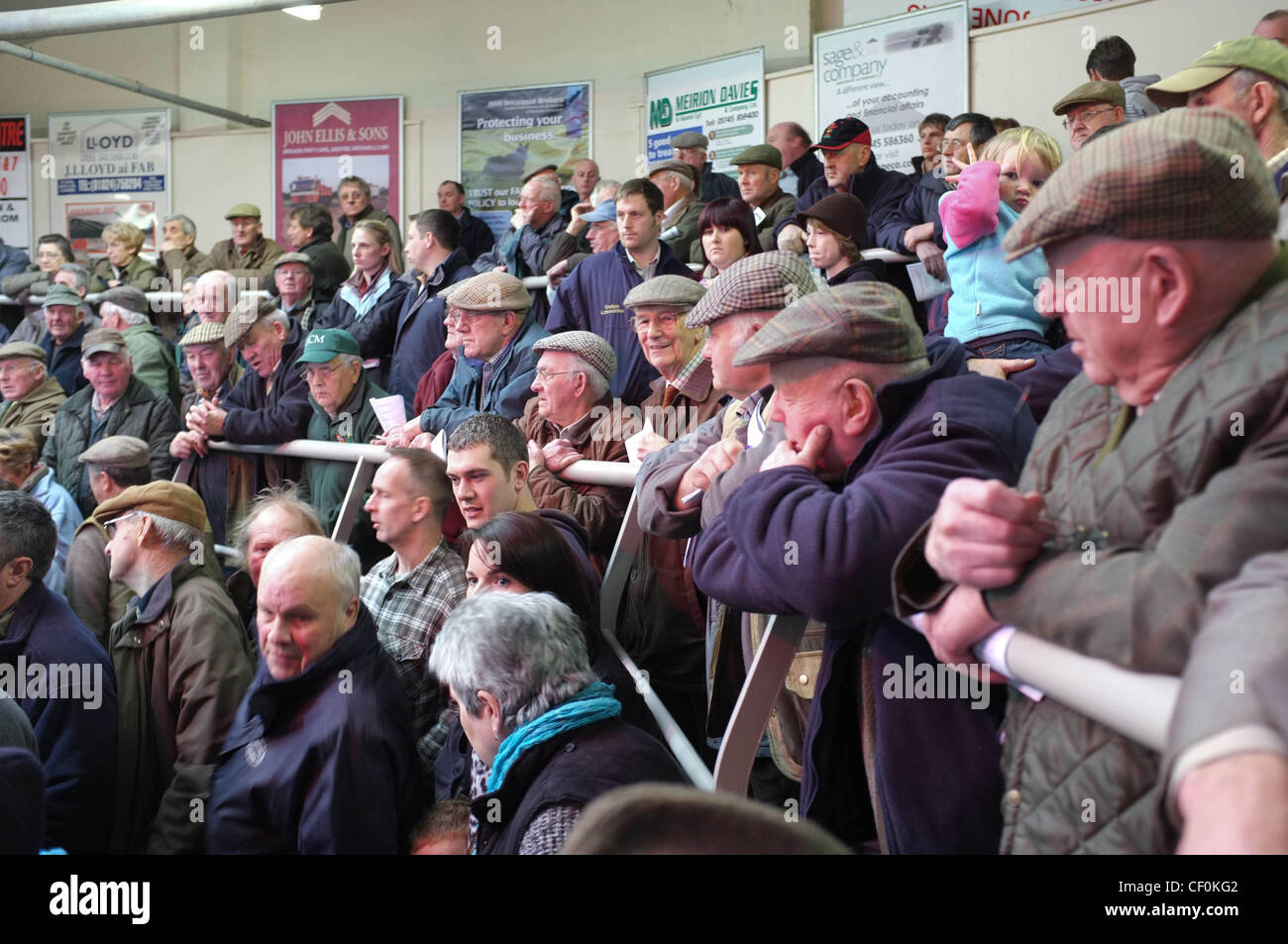 Farmers at Ruthin auction mart,Ruthin,North Wales Stock Photo