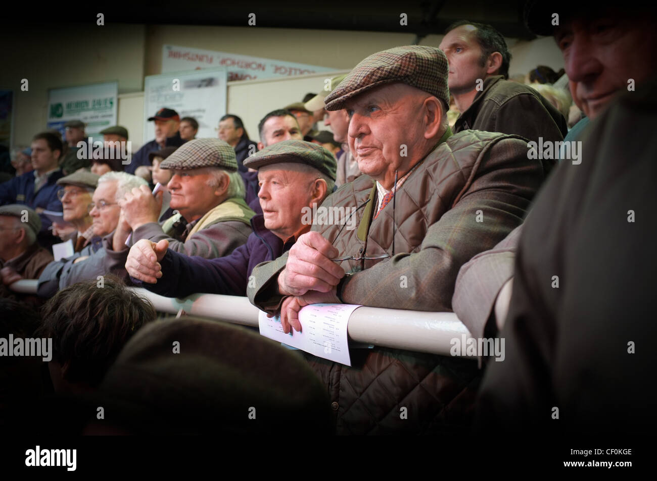 Farmers at Ruthin auction mart,Ruthin,North Wales Stock Photo