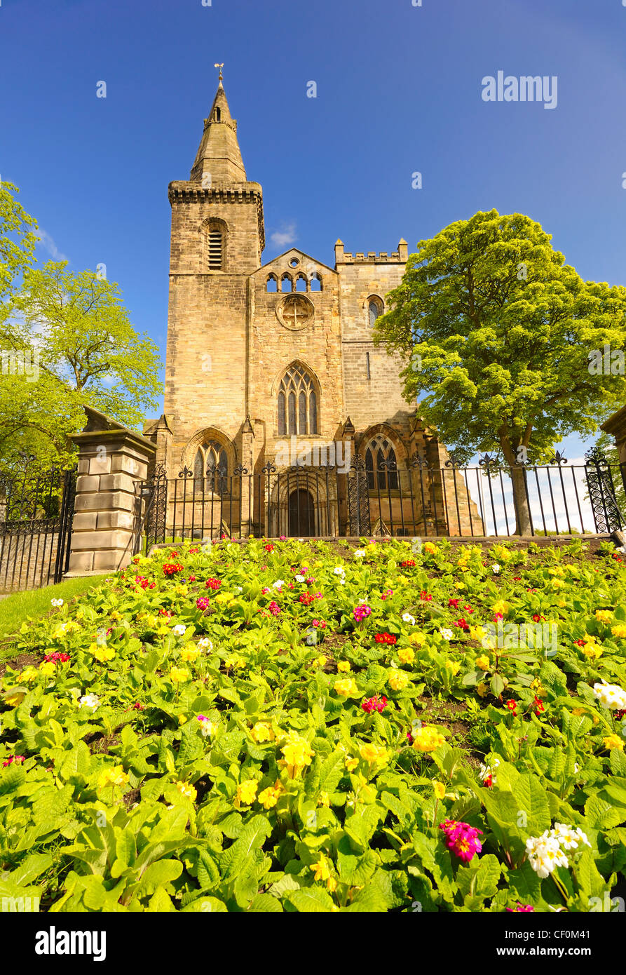 Dunfermline Abbey in the Spring Stock Photo