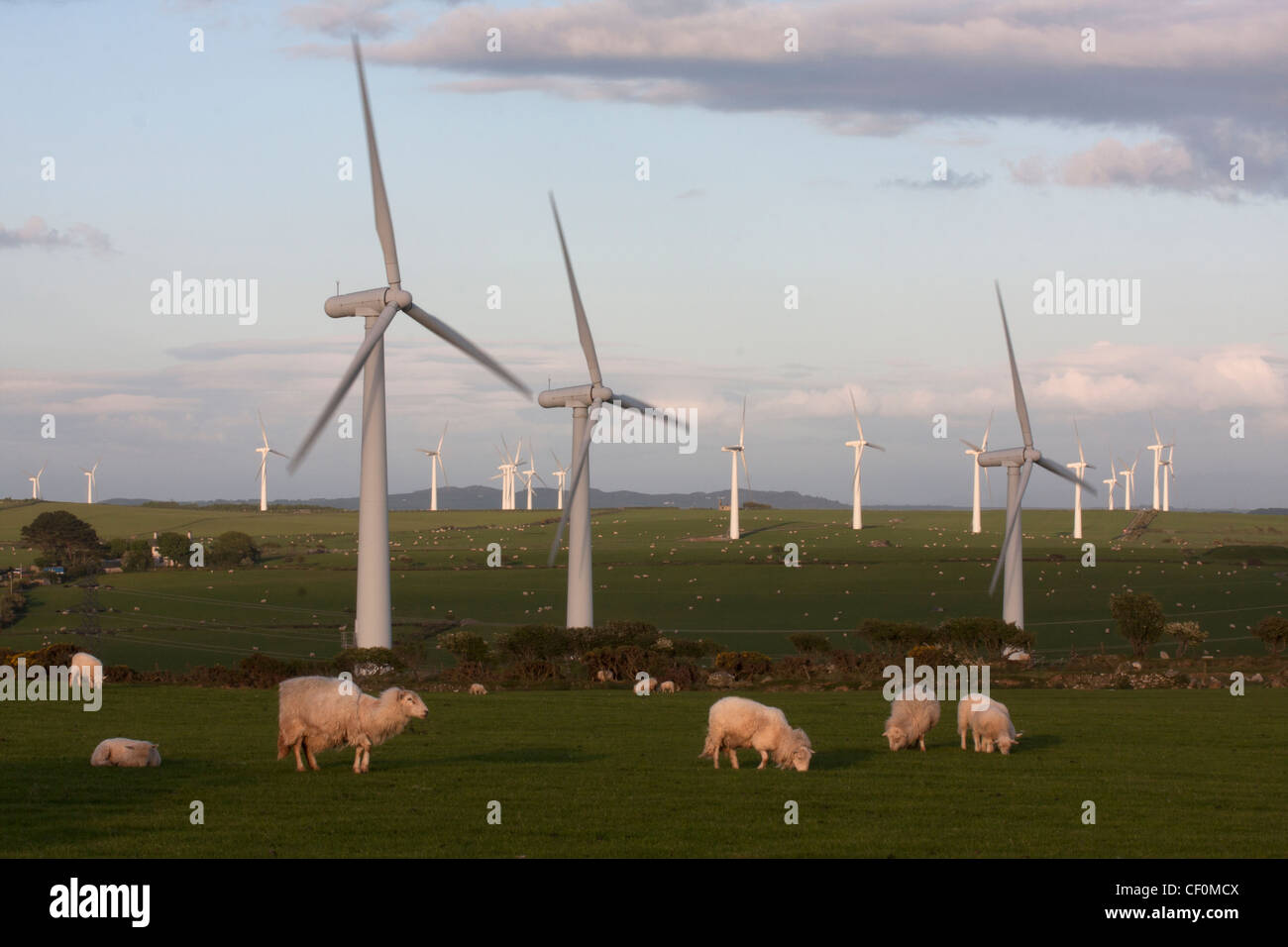 windfarms between Mynydd Mechell and Llanddeusant Stock Photo