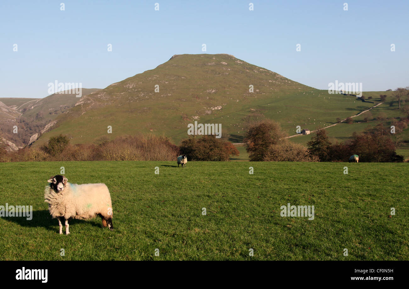 topped hill hi-res stock and images - Alamy