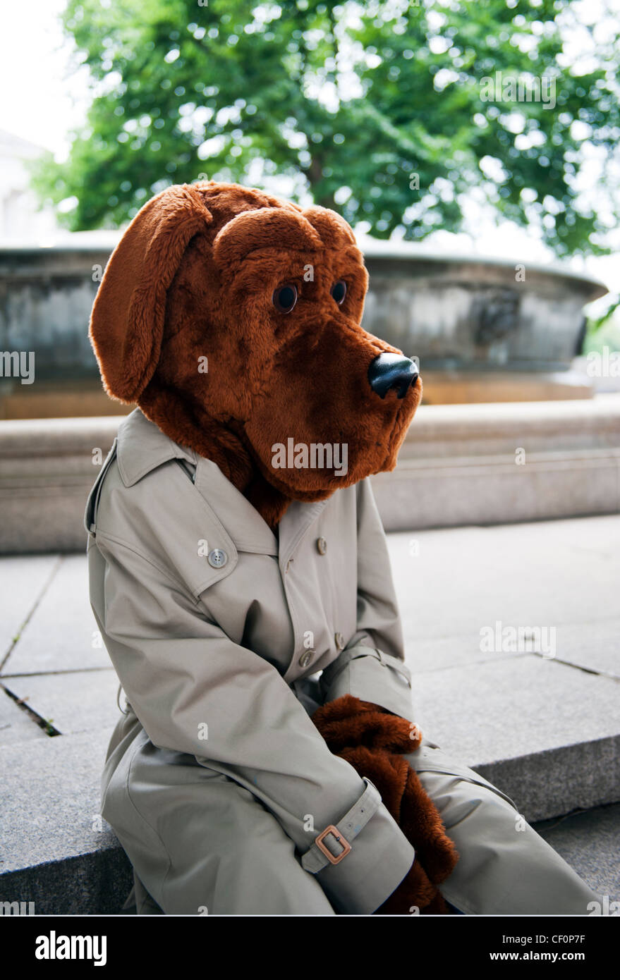 Mcgruff Crime Dog High Resolution Stock Photography And Images Alamy https www alamy com stock photo mcgruff the crime dog on the streets of washington dc 43658035 html