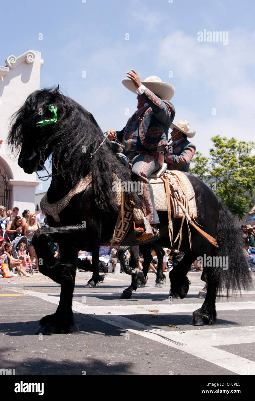 Man riding a Spanish horse  waving to the crowd Stock Photo