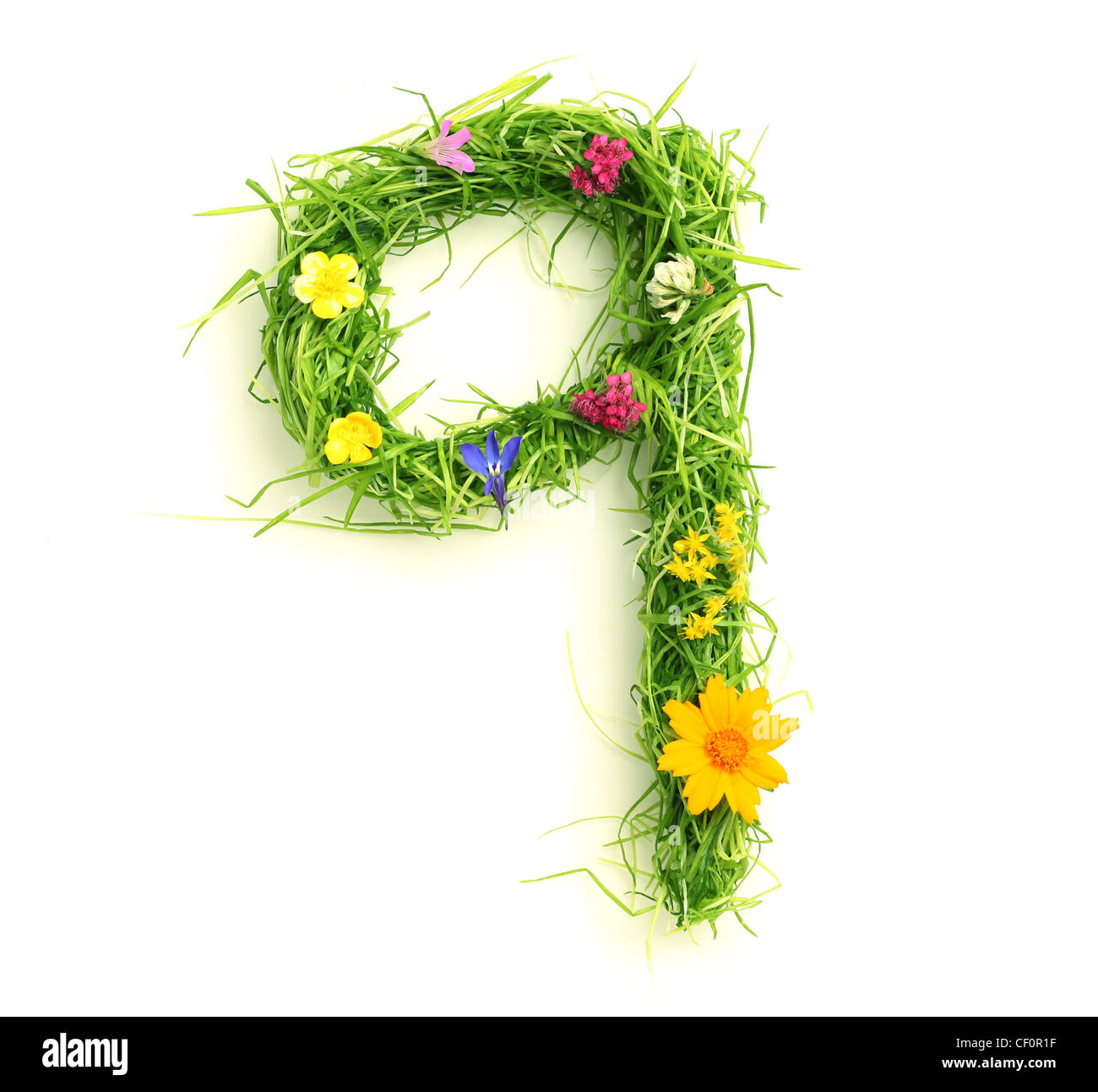 Numbers made of flowers and grass isolated on white Stock Photo