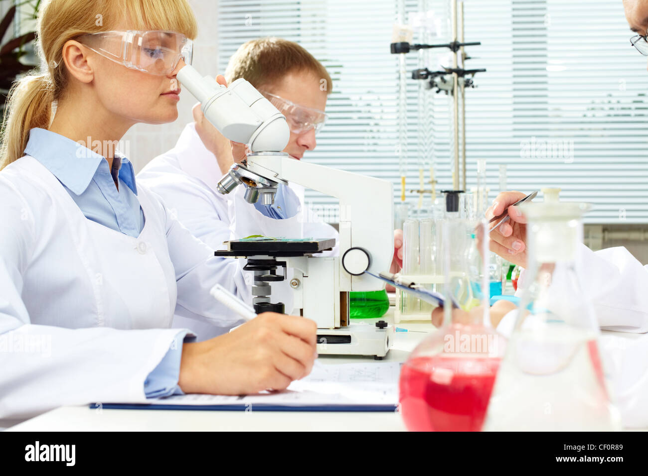 Scientists studying substances at laboratory and taking notes Stock ...