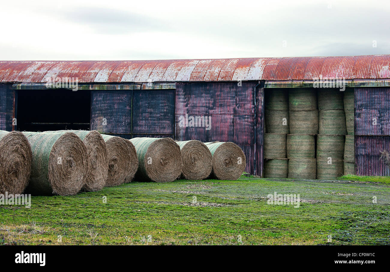 Hay Storage Stock Photos Hay Storage Stock Images Alamy