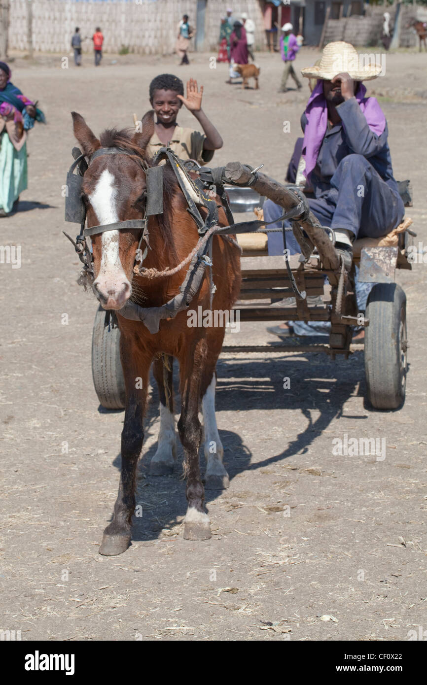 Domestic Horse (Equus ferus). Pulling inflatable rubber tyred cart. Market day, Wendogenet. Ethiopia. Stock Photo