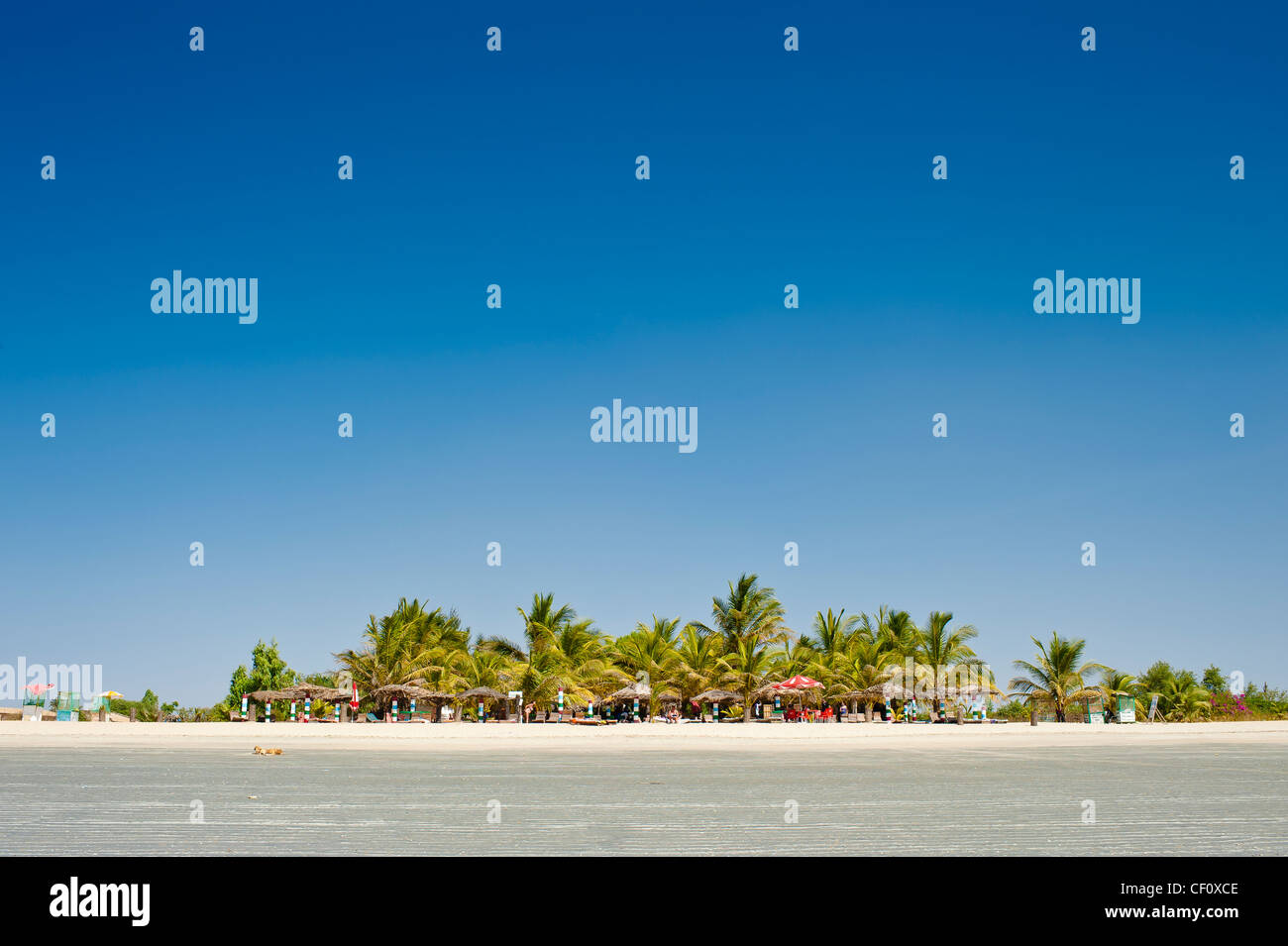 Paradise beach, The Gambia, with palm trees and copy space Stock Photo