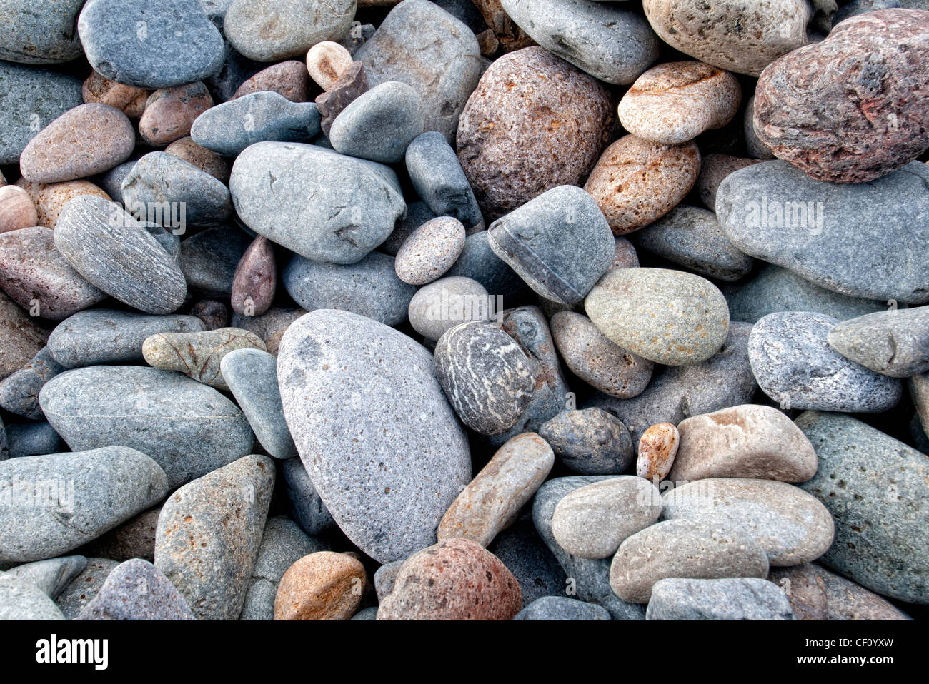 Rocky beach pebbles close hi-res stock photography and images - Alamy
