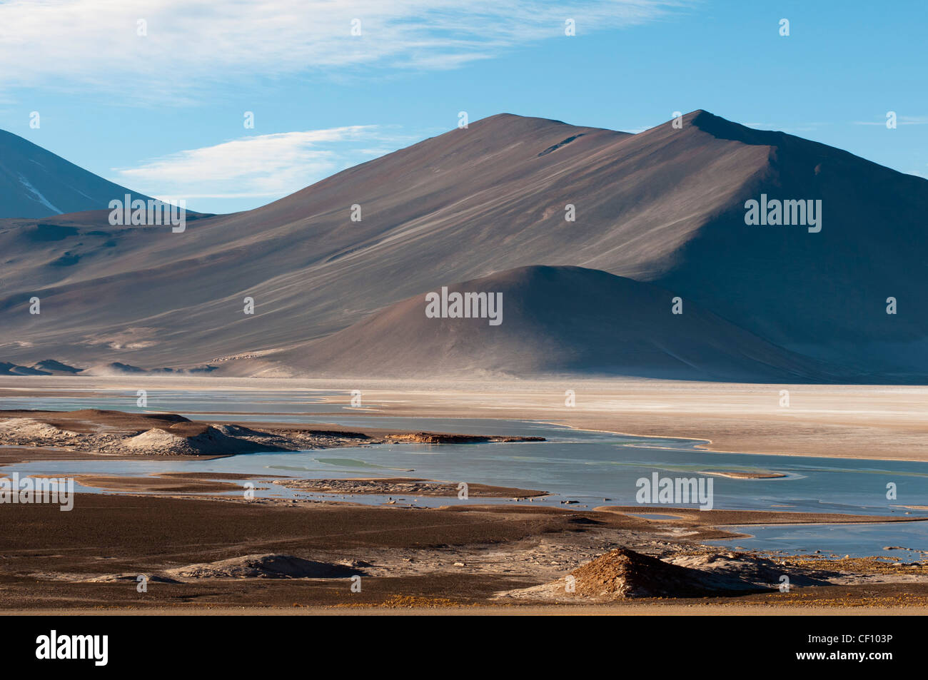 Salar de Talar, Atacama Desert, Chile. Stock Photo