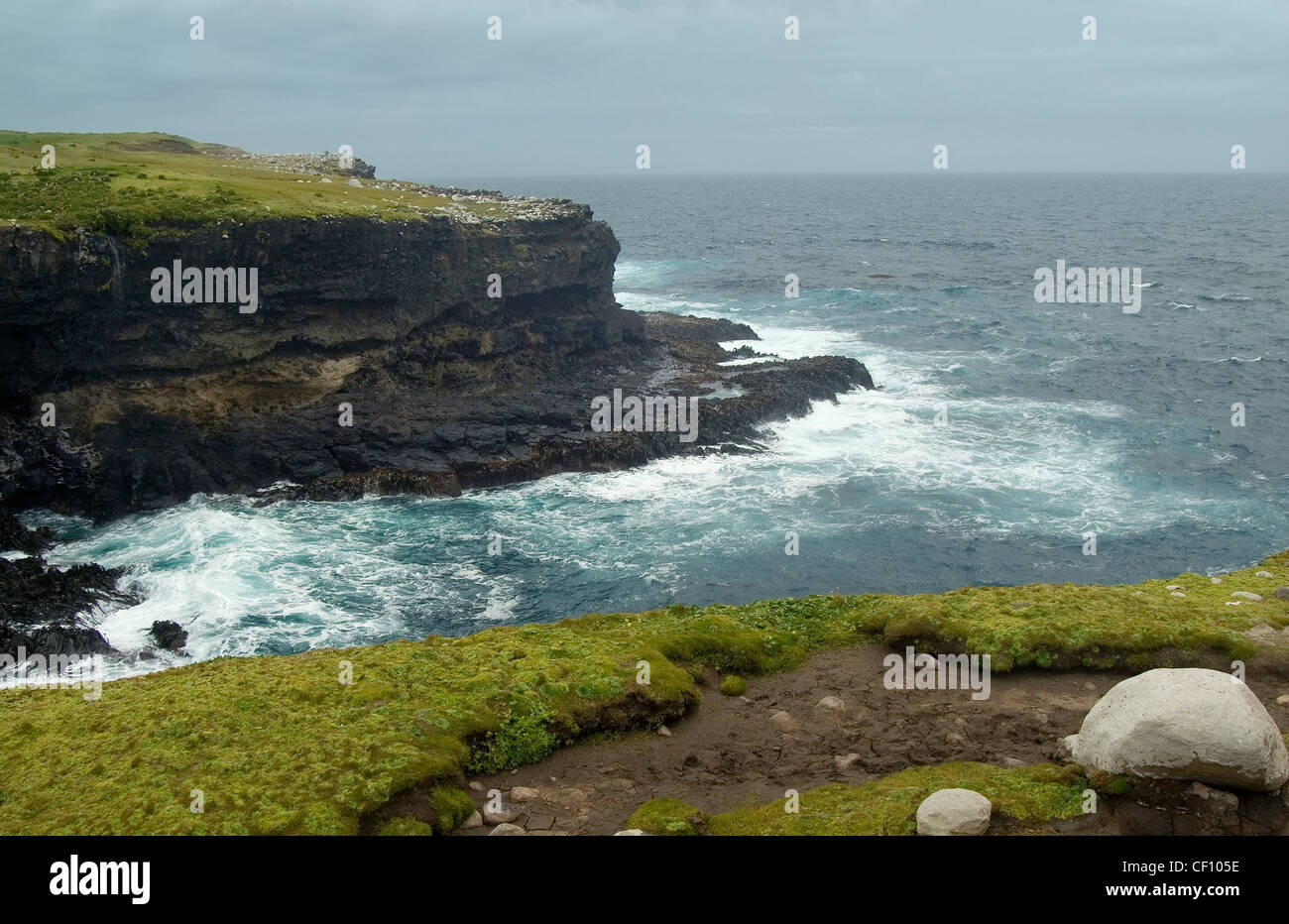 Peeble Point cliffs, Enderby Island in the Auckland Islands, New Zealand Subantarctic Islands Stock Photo